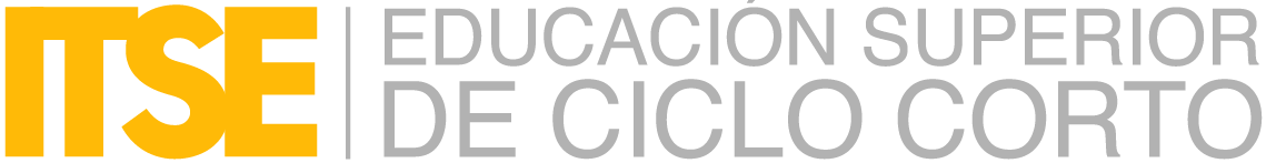 itse logo